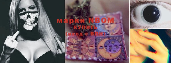 apvp Ельня