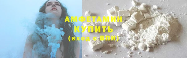 apvp Ельня