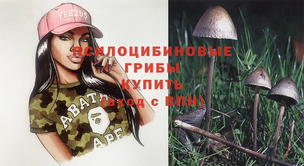 apvp Ельня
