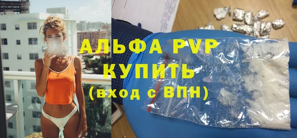 apvp Ельня