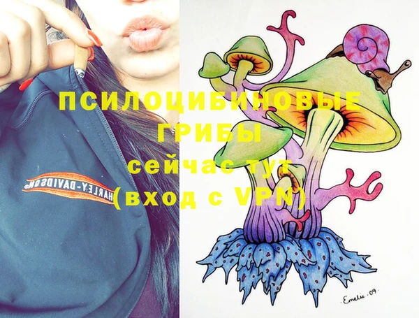 apvp Ельня