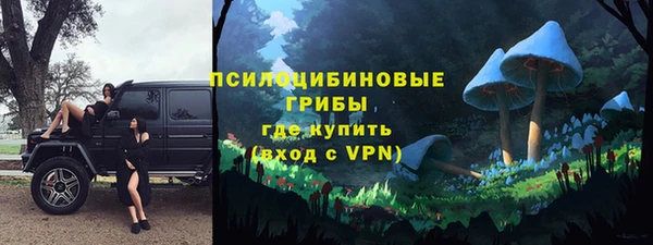 apvp Ельня